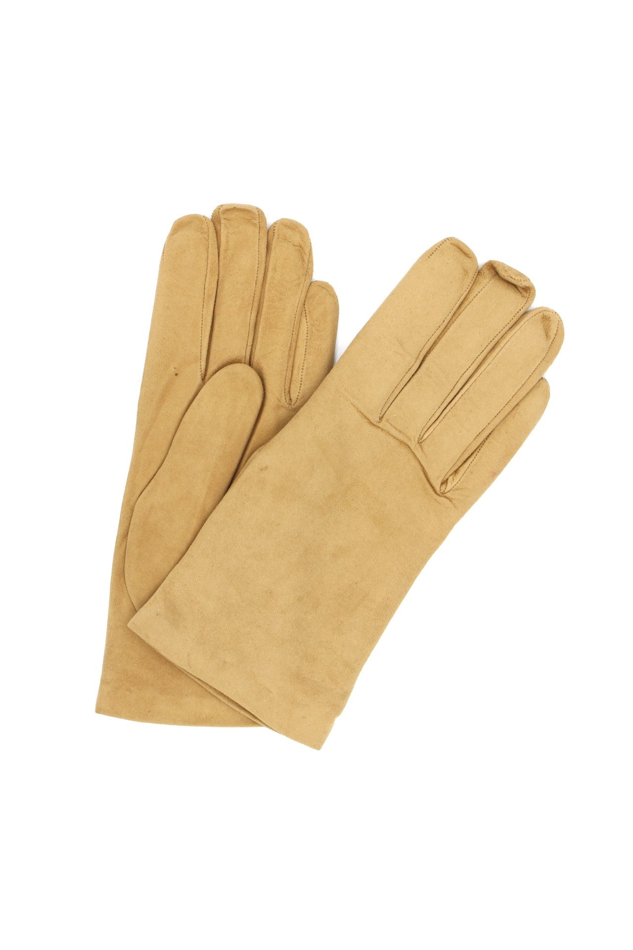 1019 Classic Suede Gloves Cashmere  Lined Cookie
